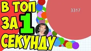 PETRIDISH.PW | # 6 | В ТОП ЗА 1 СЕКУНДУ / the TOP 1 SECOND