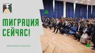 ИНТЕРЬВЮ! МИГРАЦИЯ СЕЙЧАС. ПРОБЛЕМЫ, ТРУДНОСТИ И ИХ РЕШЕНИЯ!