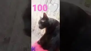 💜
