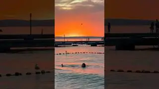 Sunset swims are a sure way to cure the soul #westernaustralia #sunsetswim