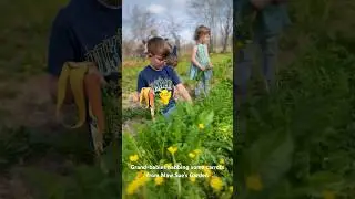 Grand-babies nabbing some carrots out of Maw Sue’s garden ❤️