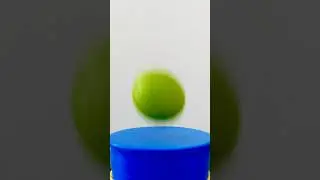 Самая пружинистая поверхность в мире 