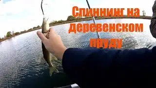 спиннинг на деревенском пруду в октябре рыбалка в подмосковье