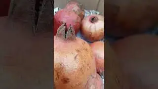 Pomegranate