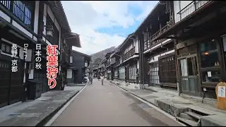 Japan Autumn 2024  - Day 7 (Nagano-Kyoto)