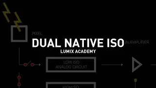 What is Dual Native ISO?