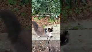 look at that happy tail 🥹 