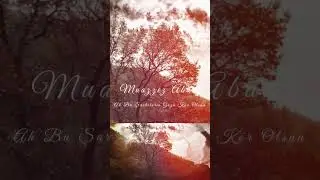 Muazzez Abacı - Ah Bu Şarkıların Gözü Kör Olsun #shorts