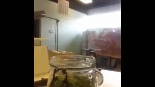 Make your own fresh herb infusion