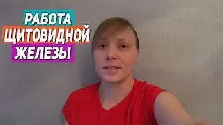 РАБОТА ЩИТОВИДНОЙ ЖЕЛЕЗЫ