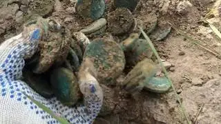 клад Екатерины