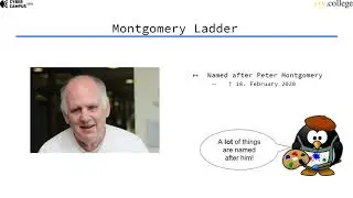 Montgomery Ladder