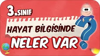 3. Sınıf Hayat Bilgisinde Neler Var? Hayat Bilgisi Dersine Nasıl Çalışır❓