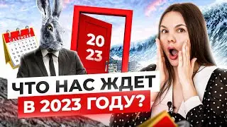 Прогноз на 2023 год. Что нам ждать от года голубого кролика?