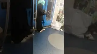 Понравился платок