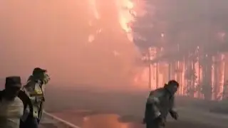 Горит лес возле п. Боровский. Тюмень