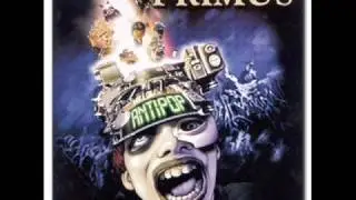primus-tommy the cat