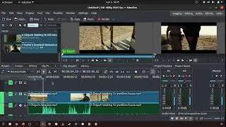 32 How to add clips into the project bin