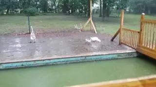 A rainy day in Michigan