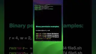 Linux commands for beginners part 16 | File permissions 3 