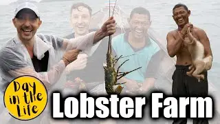 We visited a Floating Lobster Farm in Thailand - Koh Yao Yai