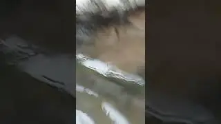 chiring reangni vlog