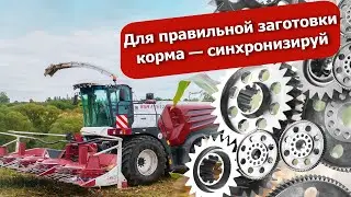 Для правильной заготовки корма - синхронизируй