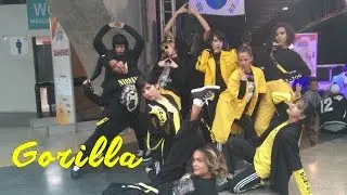 DOMINO DANCE CREW | Cover: GORILLA 고릴라  (Pentagon 펜타곤)