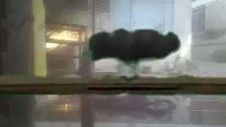 Green screen meteor impact