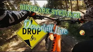 Bikepark Steinach - Downhill line