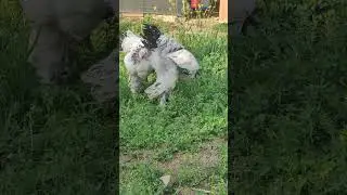 113.gün🧿