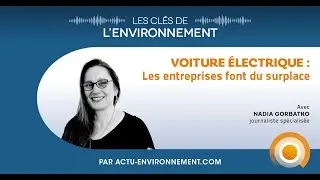 Voiture électrique : les entreprises font du surplace - Les Clés de l'Environnement