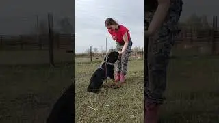 #собакиневраги, а наши друзья и защитники