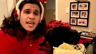 Tyler & Ryan - Please Come Home For Christmas {Cover}