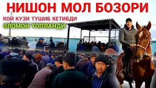 НИШОН ТУМАНИ 1 САВХОЗ МОЛ БОЗОРИ НАРХЛАРИ NISHON MOL BOZORI NARXLARI.