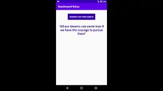Android read a file from assets in java/Kotlin
