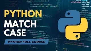 Match Case in Python | Python Tutorial - Day #13