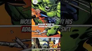 Hulk Humbles Wolverine With A SIMPLE Question🤣| 