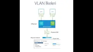 VMware vSphere Virtual Switch VLAN Policy - Virtual Network -37