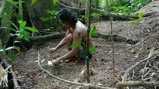 Starting a Fire with Horizontal Spring pole