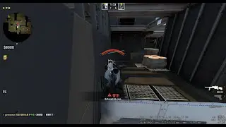 gamesense.vip(paste) VS plaguecheat.cc | no iq play 6:9
