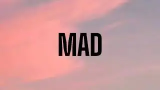 VIN JAY - MAD ( LYRICS )