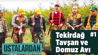 Tekirdağ Tavşan ve Domuz Avı  1.Bölüm  Ustalardan - Yaban Tv - Wildboar and Rabbit Hunting
