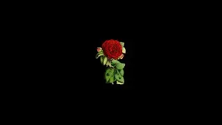 [FREE] Phora Type Beat 2021 