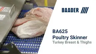 625 Skinner   Turkey