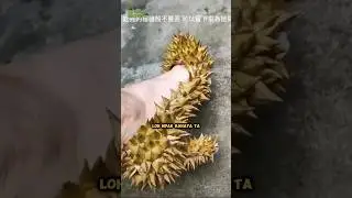 3 sepatu terunik, nomer 3 loh ndak bahaya ta?