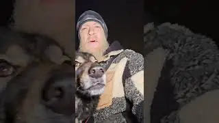 Spend Some 1 on 1 Time with Each Dog in Multi Dog Households