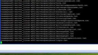 Linux TeamSpeak3 Kurulumu [VPS - VDS]