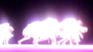 MOV00614