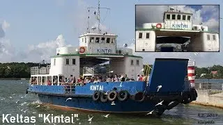 Keltas 